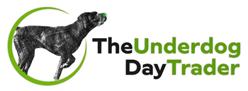 the underdog day trader, expert int rading